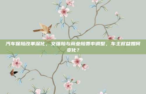 汽车保险改革深化,交强险与商业险费率调整,车主权益如何变化?