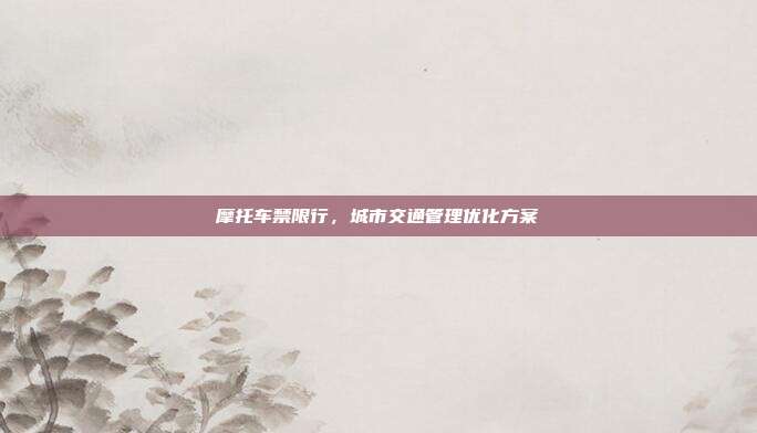 摩托车禁限行,城市交通管理优化方案