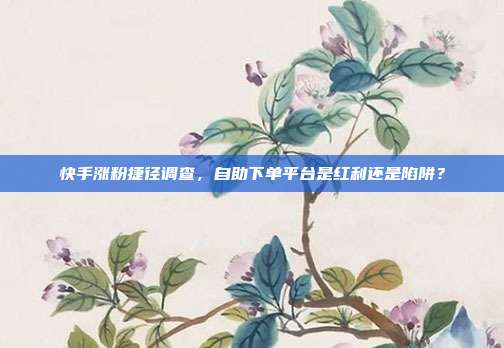 快手涨粉捷径调查，自助下单平台是红利还是陷阱？