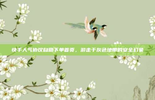 快手人气协议自助下单首页，游走于灰色地带的安全幻象