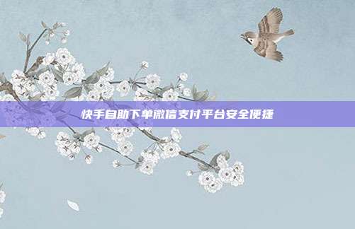 快手自助下单微信支付平台安全便捷