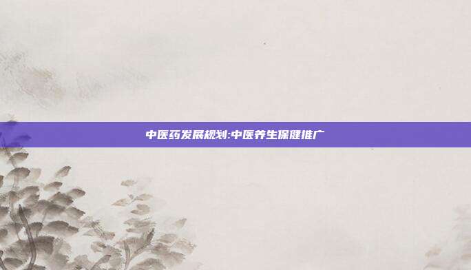 中医药发展规划:中医养生保健推广