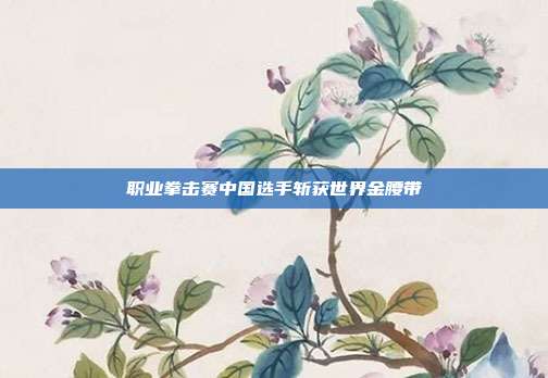 职业拳击赛中国选手斩获世界金腰带