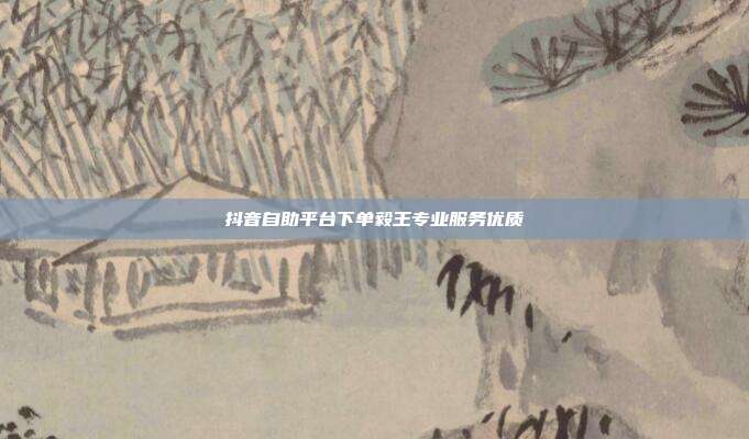 抖音自助平台下单毅王专业服务优质