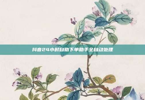 抖音24小时自助下单助手全自动处理