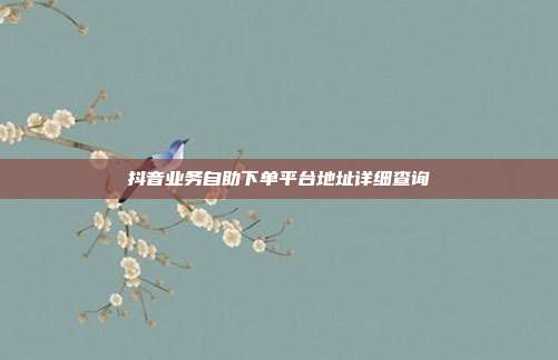 抖音业务自助下单平台地址详细查询