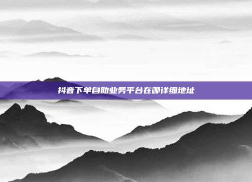 抖音下单自助业务平台在哪详细地址