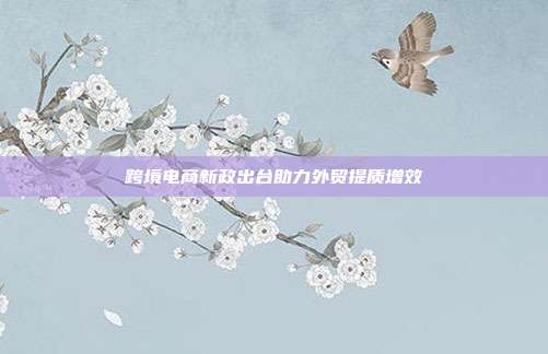 跨境电商新政出台助力外贸提质增效