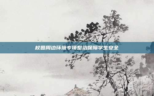 校园周边环境专项整治保障学生安全