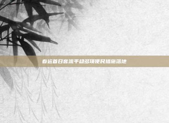 春运首日客流平稳多项便民措施落地