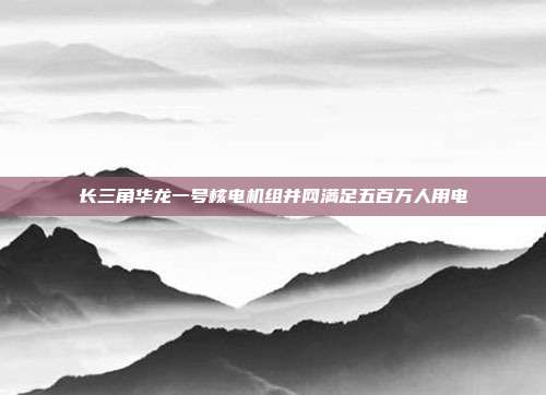 长三角华龙一号核电机组并网满足五百万人用电