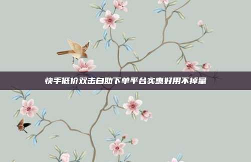 快手低价双击自助下单平台实惠好用不掉量