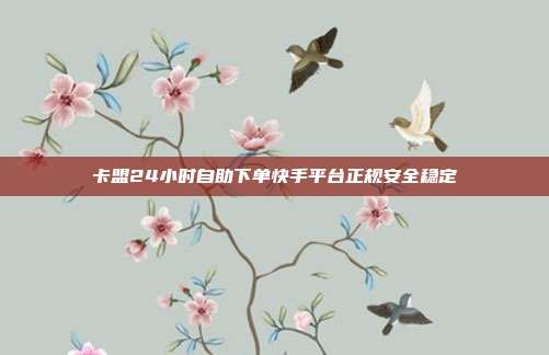 卡盟24小时自助下单快手平台正规安全稳定