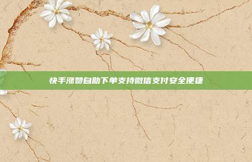 快手涨赞自助下单支持微信支付安全便捷