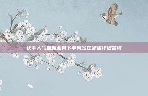 快手人气自助业务下单网站在哪里详细查询