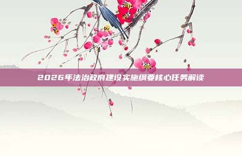2026年法治政府建设实施纲要核心任务解读