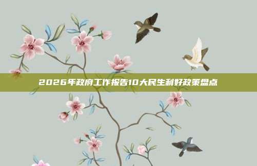 2026年政府工作报告10大民生利好政策盘点