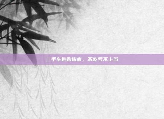 二手车选购指南,不吃亏不上当