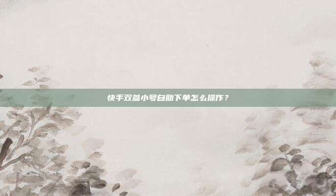 快手双参小号自助下单怎么操作?