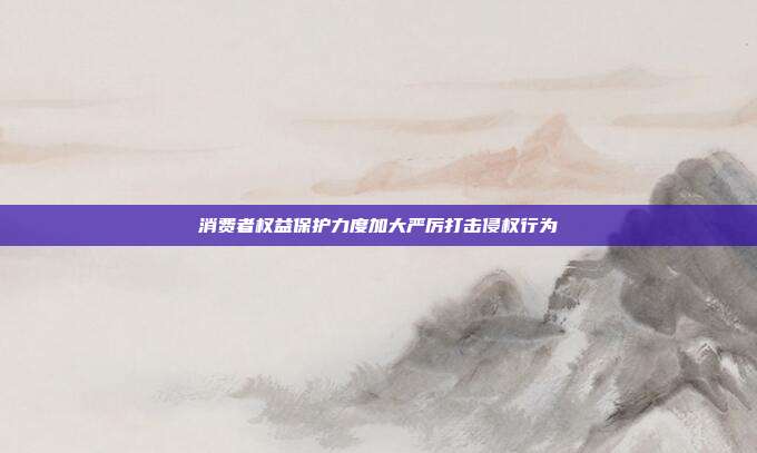 消费者权益保护力度加大严厉打击侵权行为