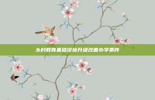 乡村教育基础设施升级改善办学条件