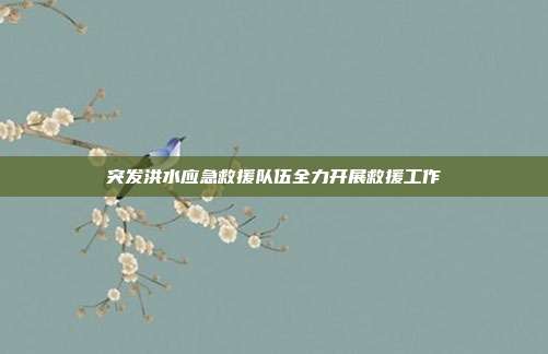 突发洪水应急救援队伍全力开展救援工作