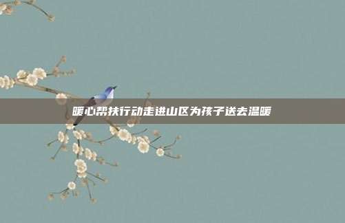 暖心帮扶行动走进山区为孩子送去温暖