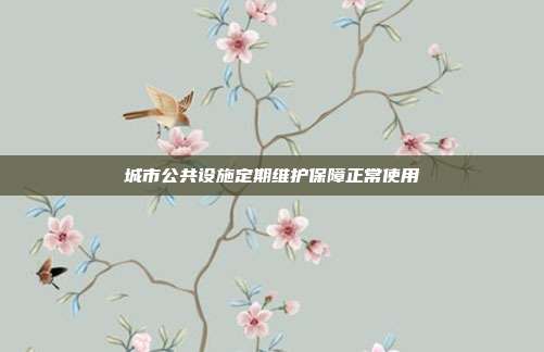 城市公共设施定期维护保障正常使用