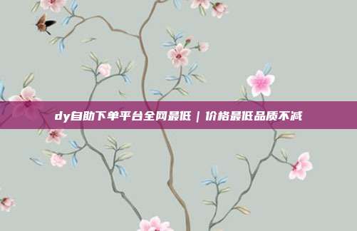 dy自助下单平台全网最低｜价格最低品质不减