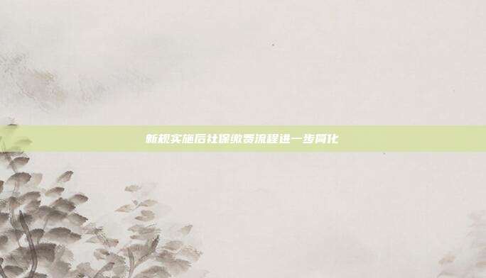 新规实施后社保缴费流程进一步简化