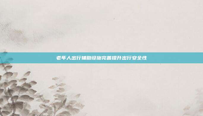 老年人出行辅助设施完善提升出行安全性