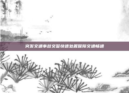 突发交通事故交警快速处置保障交通畅通