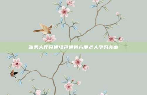 政务大厅开通绿色通道方便老人孕妇办事