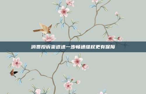 消费投诉渠道进一步畅通维权更有保障