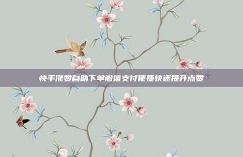 快手涨赞自助下单微信支付便捷快速提升点赞