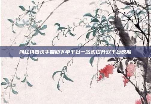 网红抖音快手自助下单平台一站式提升双平台数据