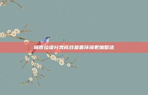 城市垃圾分类成效显著环境更加整洁