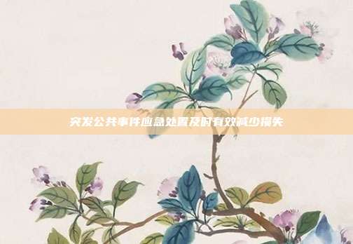 突发公共事件应急处置及时有效减少损失