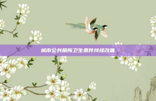 城市公共厕所卫生条件持续改善