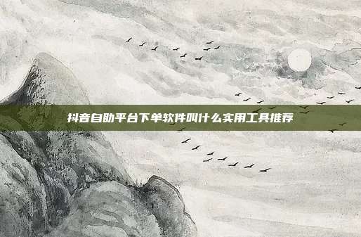 抖音自助平台下单软件叫什么实用工具推荐