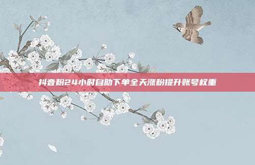 抖音粉24小时自助下单全天涨粉提升账号权重