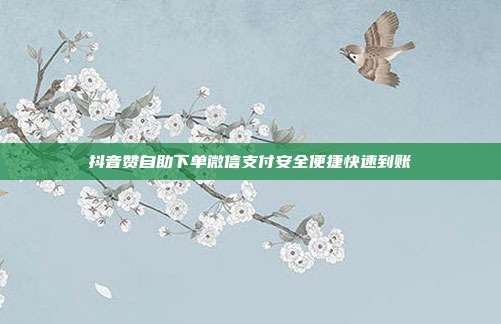 抖音赞自助下单微信支付安全便捷快速到账