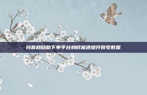 抖音秒自助下单平台蚂蚁极速提升账号数据