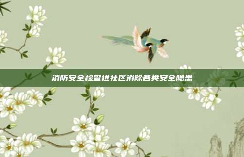 消防安全检查进社区消除各类安全隐患