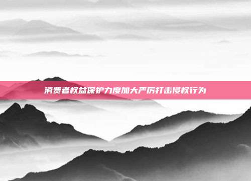 消费者权益保护力度加大严厉打击侵权行为