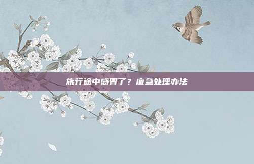旅行途中感冒了？应急处理办法