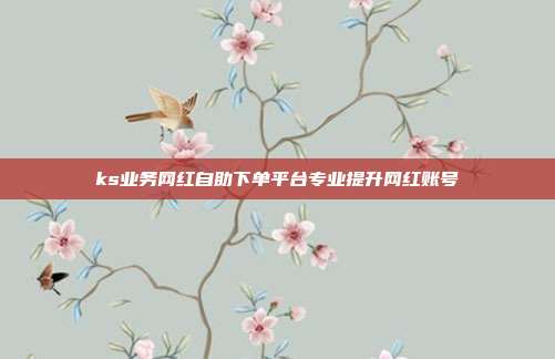 ks业务网红自助下单平台专业提升网红账号