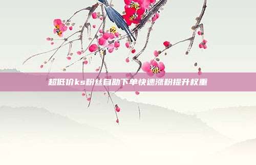 超低价ks粉丝自助下单快速涨粉提升权重