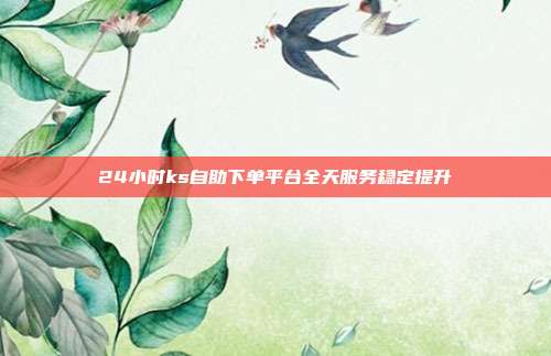 24小时ks自助下单平台全天服务稳定提升