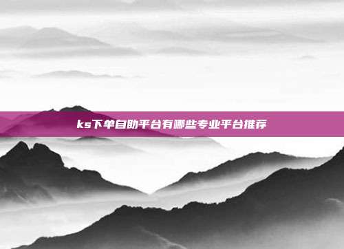 ks下单自助平台有哪些专业平台推荐